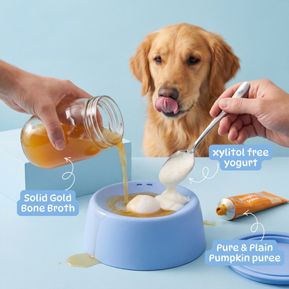 Calm dog, intact home.