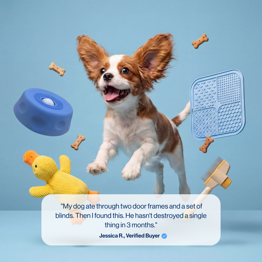 The Natural Calm Down Switch Hiding In Your Dog's Tongue