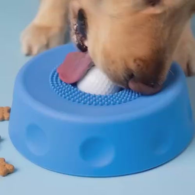 The Natural Calm Down Switch Hiding In Your Dog's Tongue